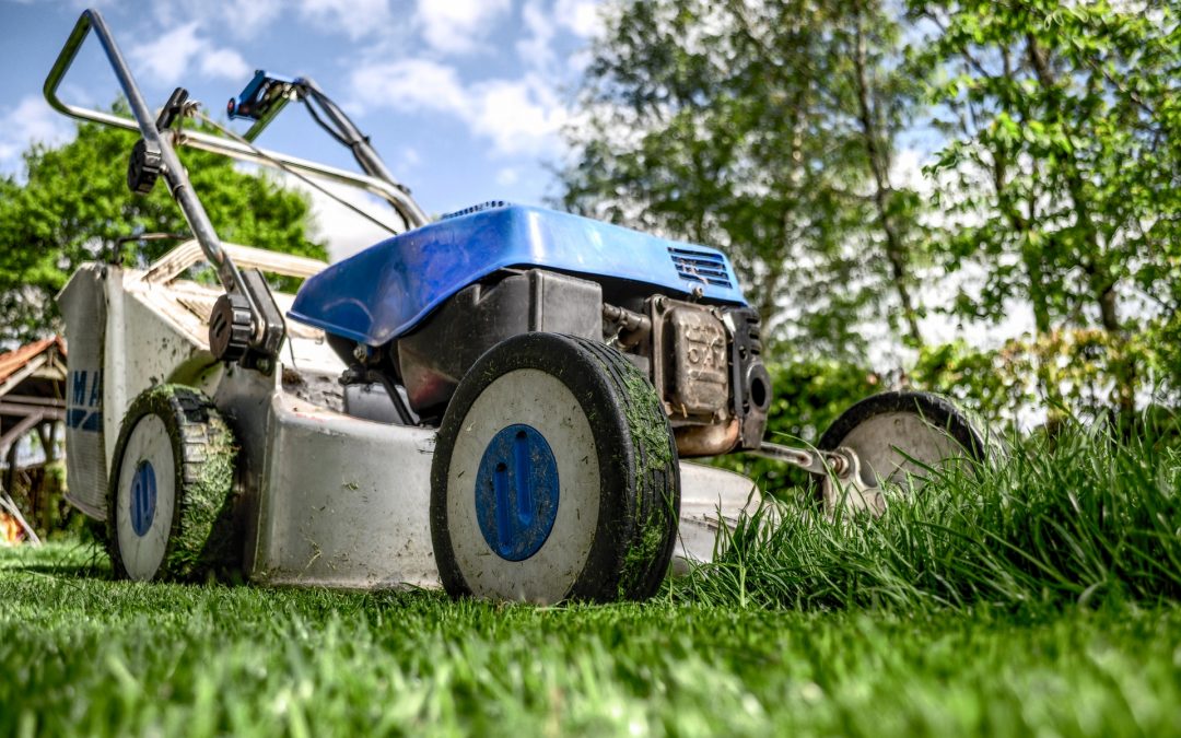 What Does Lawn Service Have To Do With Having A Vision?